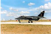 Jaguar on taxiway